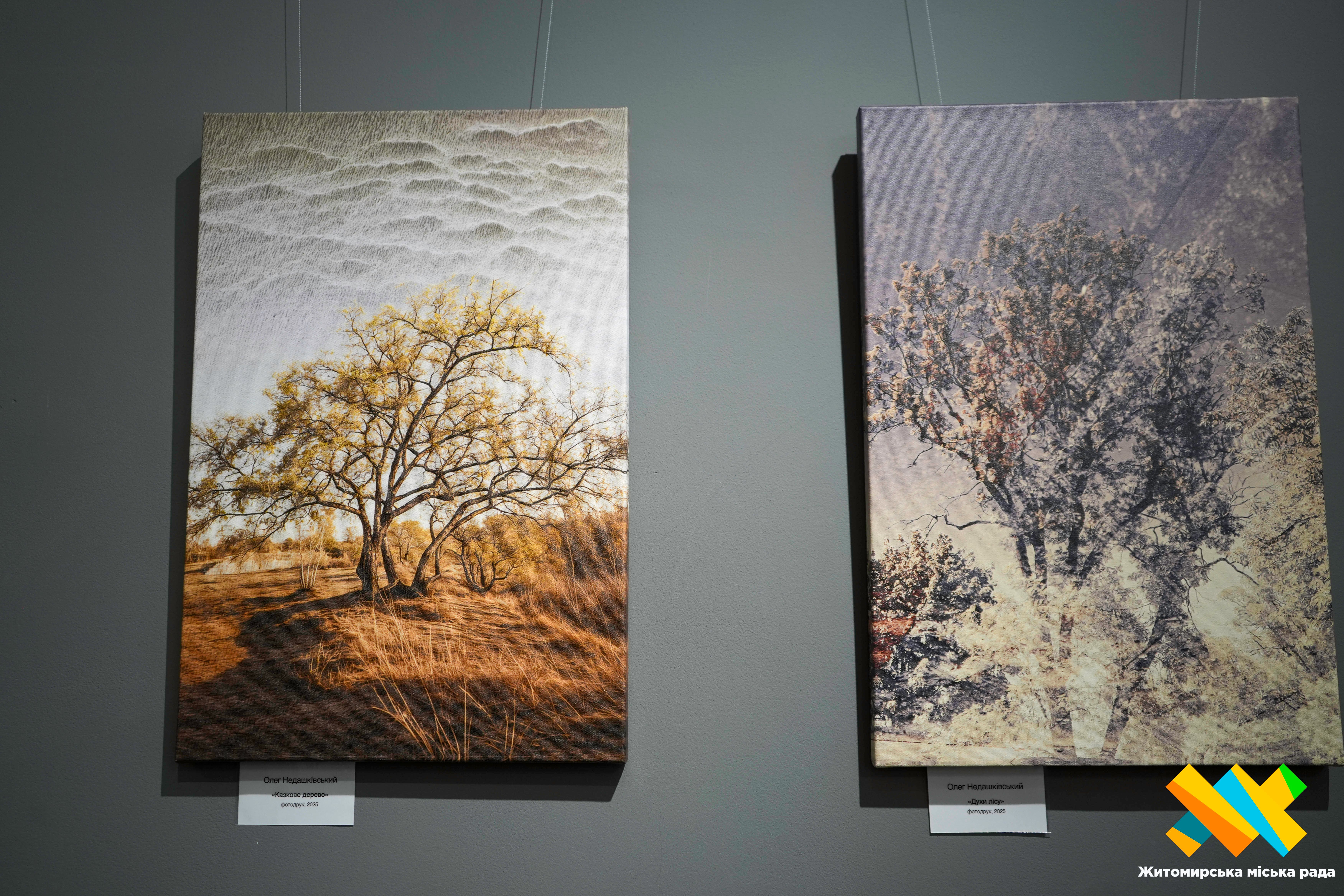 Фотовиставка &laquo;Задзеркалля&raquo; Олега Недашківського: до 28 лютого вхід вільний
