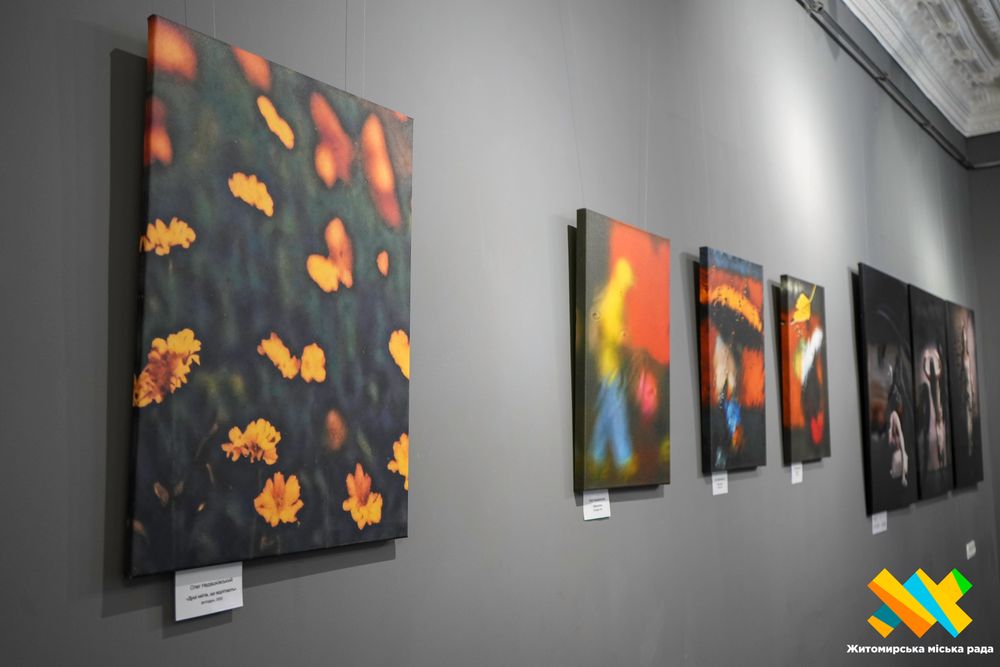 Фотовиставка &laquo;Задзеркалля&raquo; Олега Недашківського: до 28 лютого вхід вільний