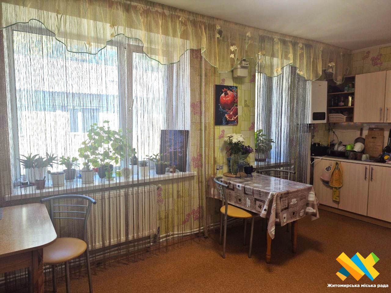 Історія патронатної родини, яка переїхала в Житомир із Новопавлівки: зараз виховують чотирьох хлопчиків